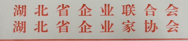 7.27 湖北省企業(yè)聯(lián)合會、湖北省企業(yè)家協(xié)會紅頭.JPG