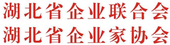 12.5 湖北省企業(yè)聯(lián)合會(huì)、湖北省企業(yè)家協(xié)會(huì)紅頭.JPG